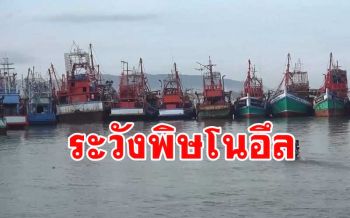 สมาคมประมงสงขลาเตือนเรือประมงระวังพิษ \'โนอึล\'