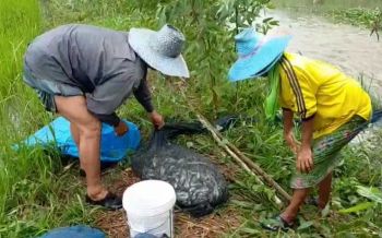 ชาวบ้านเมืองช้างจับปลาขาย หลังได้น้ำแรกของปีจากฤทธิ์พายุ ‘โนอึล’