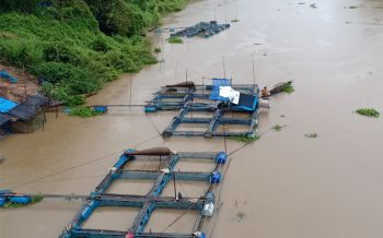 \'พายุโนอึล\'ช่วยเติมน้ำอ่างเก็บน้ำทั่วไทย หวังช่วยคลี่คลายภัยแล้งให้พ้นวิกฤติ