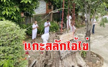 แกะสลัก \'ไอ้ไข่\' ไม้ตะเคียนเตรียมนำไปตั้งที่เมืองสุพรรณฯให้คนศรัทธาบูชาขอพร