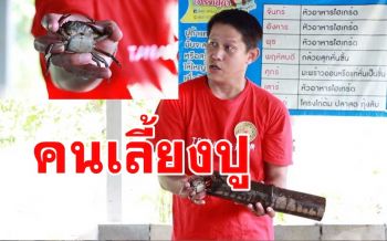 หนุ่มใหญ่เมืองสองแควพลิกวิกฤติโควิดเลี้ยงปูนาสร้างรายได้เป็นกอบเป็นกำ