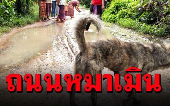 ชาวบ้านสุดทน! ปลูกข้าว-หาปลากลางถนน ประชดหน่วยงานหันมาเหลียวแลหน่อย