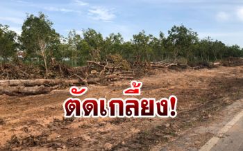 สุดเสียดาย! ชาวบ้านใจหายขยายถนนตัดอุโมงค์ต้นไม้ทิ้งเกลี้ยง
