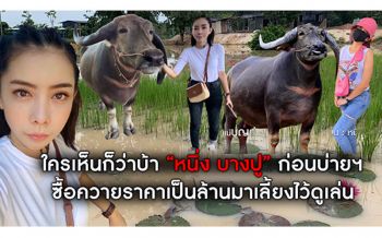 ใครเห็นก็หาว่าบ้า \'หนึ่ง บางปู\'ก่อนบ่ายฯ ซื้อควายราคาสูง 7 หลัก มาเลี้ยงไว้ดูเล่น