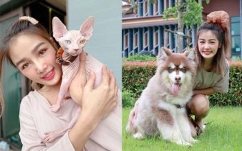 ‘กระแต อาร์สยาม’แจงซื้อแมวหมา เป็นความชอบส่วนตัว เมินดราม่าเดินหน้าเข้าวัดสร้างเจดีย์ จ.ศรีสะเกษ สะสมบุญ