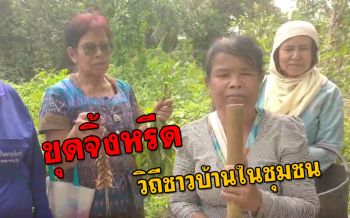 วิถีชุมชน! ชาวบ้านเมืองช้างรวมตัวกันยามว่าง‘ขุดจิ้งหรีด’ทำอาหาร (คลิป)
