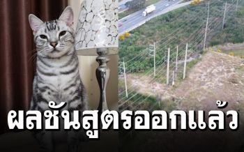 \'วอชด็อกไทยแลนด์\'เผยผลชันสูตร\'เจ้าสัว\' โดนงูตัวใหญ่กัดตาย