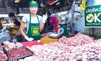 ปศุสัตว์ชี้โรคPRRS ยันไม่แพร่ไปติดคน ระบาดเฉพาะในหมู