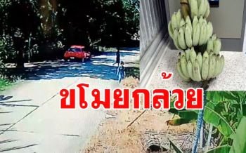 รวบผัวเมียหลานสาวขับเก๋งขโมยกล้วย สารภาพเอาไปขายหาเงินใช้จ่ายในครอบครัว
