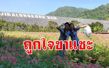 นทท.ชักแถวบันทึกความประทับใจท่ามกลางความสวยงามของทุ่งดอกไม้ที่เขื่อนเขาแหลม