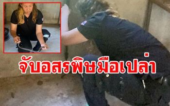 หวาดเสียว! กู้ภัยสาวอ่างทองจับงูเห่าพิษร้ายด้วยมือเปล่าเลื้อยเข้าบ้านประชาชน