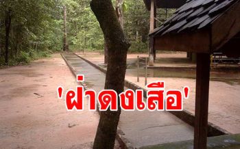 เรื่องของพระอาจารย์ชอบ \'ฝ่าดงเสือ\' มองสองฟากทางพบมีแต่รอยเสือตะกุยดิน