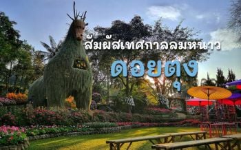 หนาวนี้... ไม่มีเหงา! แพ็คกระเป๋าแอ่ว ‘ดอยตุง’ สัมผัสเทศกาลแห่งลมหนาวส่งท้ายปี
