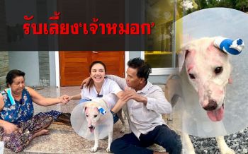 \'จ๊ะ อาร์สยาม\' รับเลี้ยง\'เจ้าหมอก\'สุนัขผู้ซื่อสัตย์จากท่อแก๊สระเบิด พร้อมตั้งชื่อใหม่
