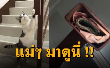 ทาสแมวฮากร๊าก เหมียวส่งซิก พ่อบ้านซ่อนเงินเมียใต้ราวบันได!