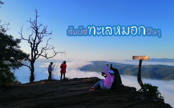 นทท.แห่เที่ยววันหยุด\'แกรนด์แคนยอน\'โอบกอดทะเลหมอกยาวที่สุดในประเทศไทย