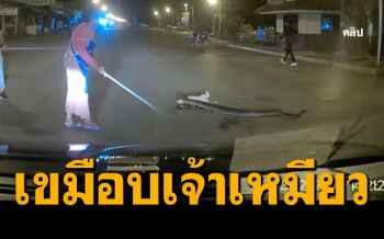 นาทีช่วย\'เจ้าเหมียว\'โดนไอ้เหลือม รัดแน่นกลางถนนหวังเขมือบชีวิต