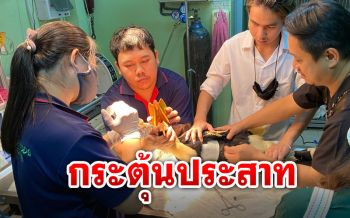 อัพเดท! ‘นกเงือก’อาการ50:50 ผู้เชี่ยวชาญเตรียมฝังเข็มกระตุ้นประสาท
