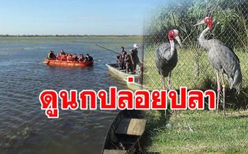 ยกระดับพื้นที่ชุ่มน้ำ\'ห้วยจระเข้มาก\'เป็นแหล่งเที่ยวเชิงอนุรักษ์ล่องเรือชมนกสัมผัสวิถีชุมชน