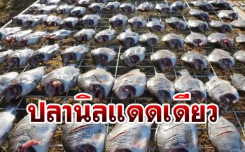 สร้างอาชีพ! หนุ่มเลี้ยงปลาในกระชังแปรรูปเป็น \'ปลานิลแดดเดียวออร์แกนิค\'กิโลละ100บาท