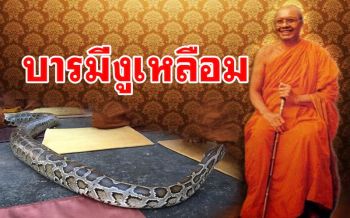\'บารมีของงูเหลือมแก่\' ได้ยินเสียงพระซ้อมสวด \'พระอภิธรรมทั้ง ๗ คัมภีร์\' ในถ้ำใหญ่
