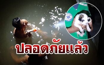 สุดสงสาร! กู้ภัยช่วยลูกสุนัขในท่อน้ำทิ้งรอด1ตาย3