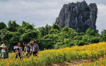 ชาวบ้านปรับพื้นที่ปลูก \'ดอกดาวเรือง\' ดึงดูดนักท่องเที่ยวเข้าชมสลับภูเขาหินปูน