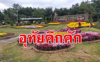 วันหยุดอุทัยคึกคัก! นักท่องเที่ยวแห่สัมผัสอากาศหนาวร่วมงานมรดกโลกห้วยขาแข้ง