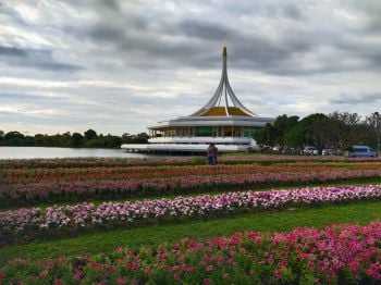 พรรณไม้งามอร่ามสวนหลวง ร.9 ความงามแห่งมวลไม้นานาพันธุ์