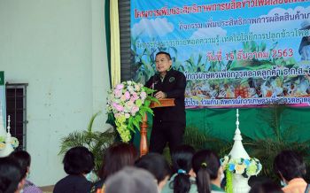 กรมส่งเสริมการเกษตรชู\'สุโขทัย\'หนุนปลูกใช้พืชน้ำน้อยตอบโจทย์เกษตกร