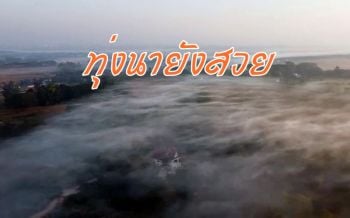 สวยไปหมด...น่าไปเที่ยว! ส่องหมอกช่วงหน้าหนาวกลางทุ่งนาเมืองพะเยา