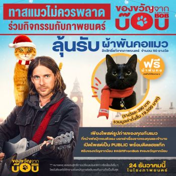 \'ทาสแมว\'ไม่ควรพลาด! ลุ้นรับผ้าพันคอเจ้านายลิขสิทธิ์แท้จาก ภ. \'A GIFT FROM BOB ของขวัญจากบ๊อบ\'