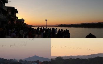 วิวสวยจริงๆเลย! ชมนกกระยางขาว บินกลับรังยามเย็น ที่ริมโขงเชียงคาน