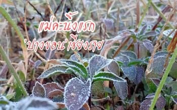 \'เชียงราย\'หนาวจัด! \'แม่คะนิ้งแรก\'ต้อนรับ นทท.ที่\'ปางขอน\'อุณหภูมิ3องศา