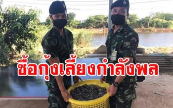 ทหาร\'ร 112\'ไม่หวั่นโควิดลุยรับซื้อกุ้งช่วยเกษตรกรนำปรุงสุกเลี้ยงกำลังพล