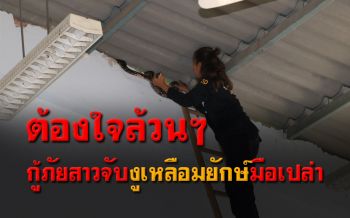 หวาดเสียว! กู้ภัยสาวปีนบันไดจับเหลือมยักษ์มือเปล่า แอบซุกใต้หลังคา รร.