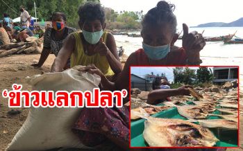 \'มูลนิธิชุมชนไท\'ห่วงคุณภาพชีวิตชาวเล จัดโครงการ\'ข้าวแลกปลา\' ฟื้นฟูวิกฤตโควิด