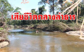 สลดส่งท้ายปี! พบช้างป่าทับลานล้มกลางลำธารต้นน้ำมูลไม่ทราบสาเหตุ