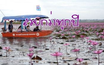 คาดปี\'64 \'ทะเลบัวแดงบ้านเดียม\' บานเต็มพื้นที่กว่า 1.5 หมื่นไร่ในรอบ 10 ปี