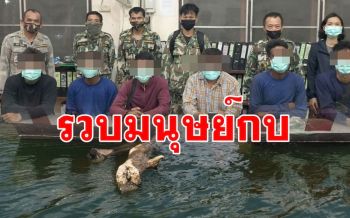 รวบ6มนุษย์กบแก๊งลักลอบชักลากไม้ใต้อ่างเก็บน้ำเขื่อนศรีนครินทร์