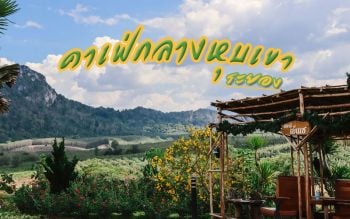 นั่งรับลม ชมวิว ท่ามกลางหุบเขา ณ คาเฟ่เย็นเซ ไร่ชากุหลาบแห่งแรกเมืองระยอง
