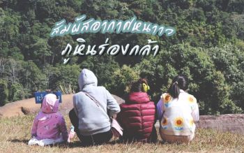 นทท.แห่สัมผัสอากาศหนาว  12 องศา ‘ภูหินร่องกล้า’พิษณุโลก