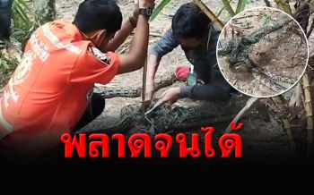 เสียท่า! งูเหลือมยักษ์บุกเล้าไก่ติดอวนหนีไม่ได้