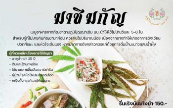 เปิด‘เมนูกัญ’! อภัยภูเบศรเตรียมผลิตตำรับ‘ใช้ใบกัญชาปรุงอาหาร’ ปชช.แห่ขอสูตร