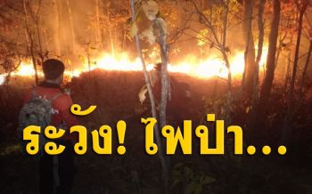มาเร็วกว่าที่คิด! คาดปีนี้แล้งหนัก-ไฟป่ารุนแรงมากกว่าทุกปี