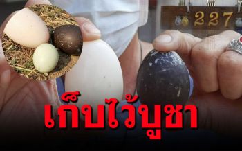พ่อค้าลอตเตอรี่โชว์ไข่เป็ดสีดำ1ฟอง-ไข่จิ๋ว1ฟอง เชื่อให้โชคลาภ