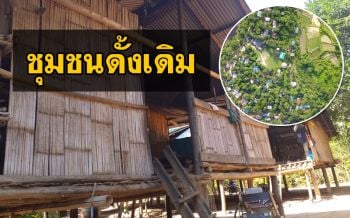 เรียกร้องรัฐห้ามใช้ความรุนแรงชาวบ้านอพยพคืนป่าใหญ่ ชี้เป็นสิทธิของชุมชนดั้งเดิม