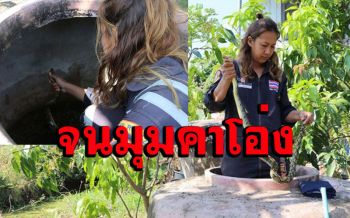 เลื้อยหนีลงโอ่งก็ไม่รอด! กู้ภัยสาวจับงูเหลือมยาวเกือบ 2 เมตรหนีซุกซ่อนในโอ่งน้ำ