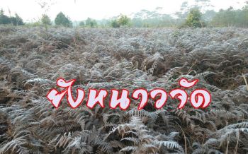 แม่คะนิ่งโผล่รอบที่ 6 บน \'ภูกระดึง\' ยอดเขาอุณหภูมิ 4 องศาติดต่อ 2 วัน