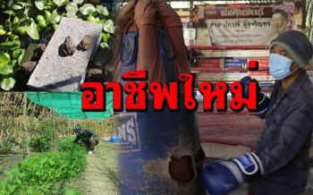 อาชีพใหม่! เทรนเนอร์นักมวยค่ายดังเจอพิษโควิดหันเหชีวิตเลี้ยงกบ-หอยเชอรี่ขาย (คลิป)